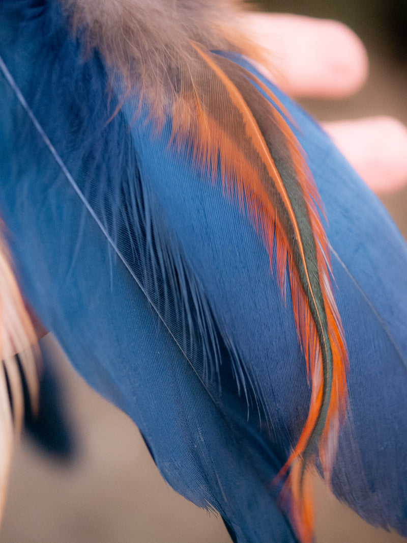 Bright Blue Feathered Dreamcatcher - Hippie Dreamcatcher – Pure Chakra