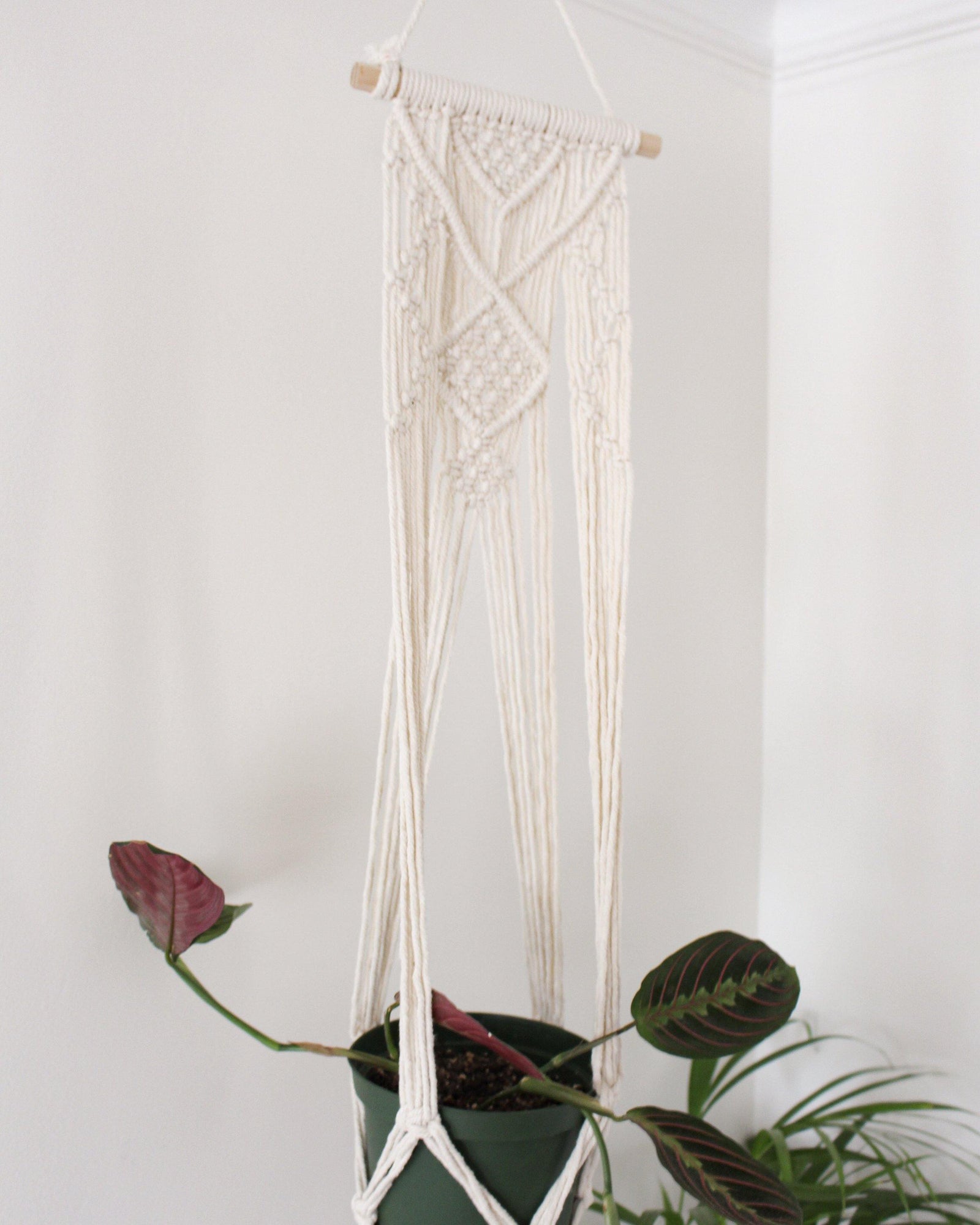 macrame plant hanger on dowel Calla Lily White Macrame Plant Hanger - Air Plant Holder