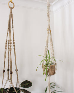 TOSSPER 2pcs Macrame Air Plant Holder Cotone Cavo di Cotone Piante Aria Piante Mini Piante Succulente Pentola D'attaccatura per Camera Letto Decorazione Soggiorno TOSSPER 2pcs Macrame Air Plant Holder Cotone Cavo di Cotone Piante Aria Piante Mini Piante Succulente Pentola D'attaccatura per Camera Letto Decorazione Soggiorno