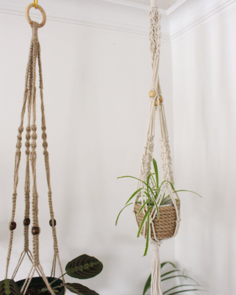 plant hanging holder Alocasia Beige Macrame Plant Hanger - Air Plant Holder - Plant Hanger Indoor