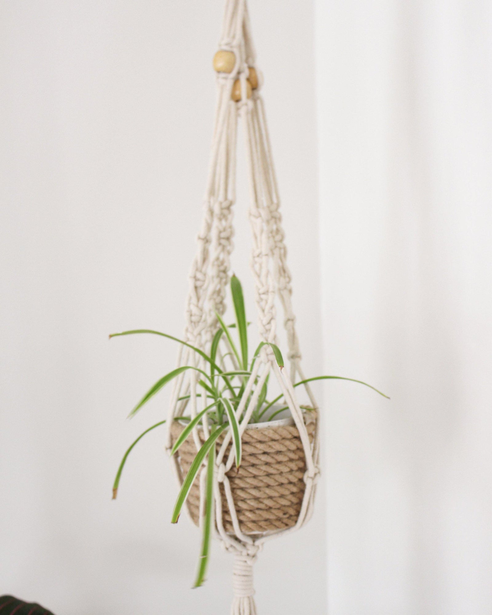 altru plant hanger Alocasia Beige Macrame Plant Hanger - Air Plant Holder