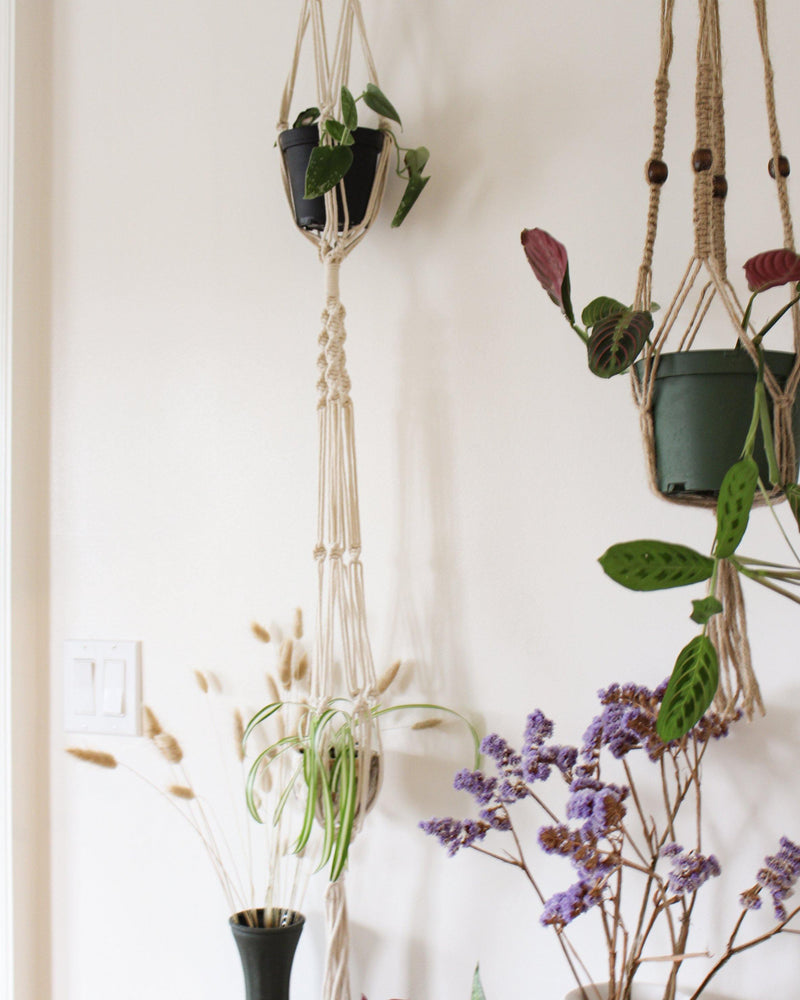 modern macrame plant hanger Tillandsia Macrame Plant Hanger - Double Plant Hanger - Air Plant Holder - Plant Hanger Indoor
