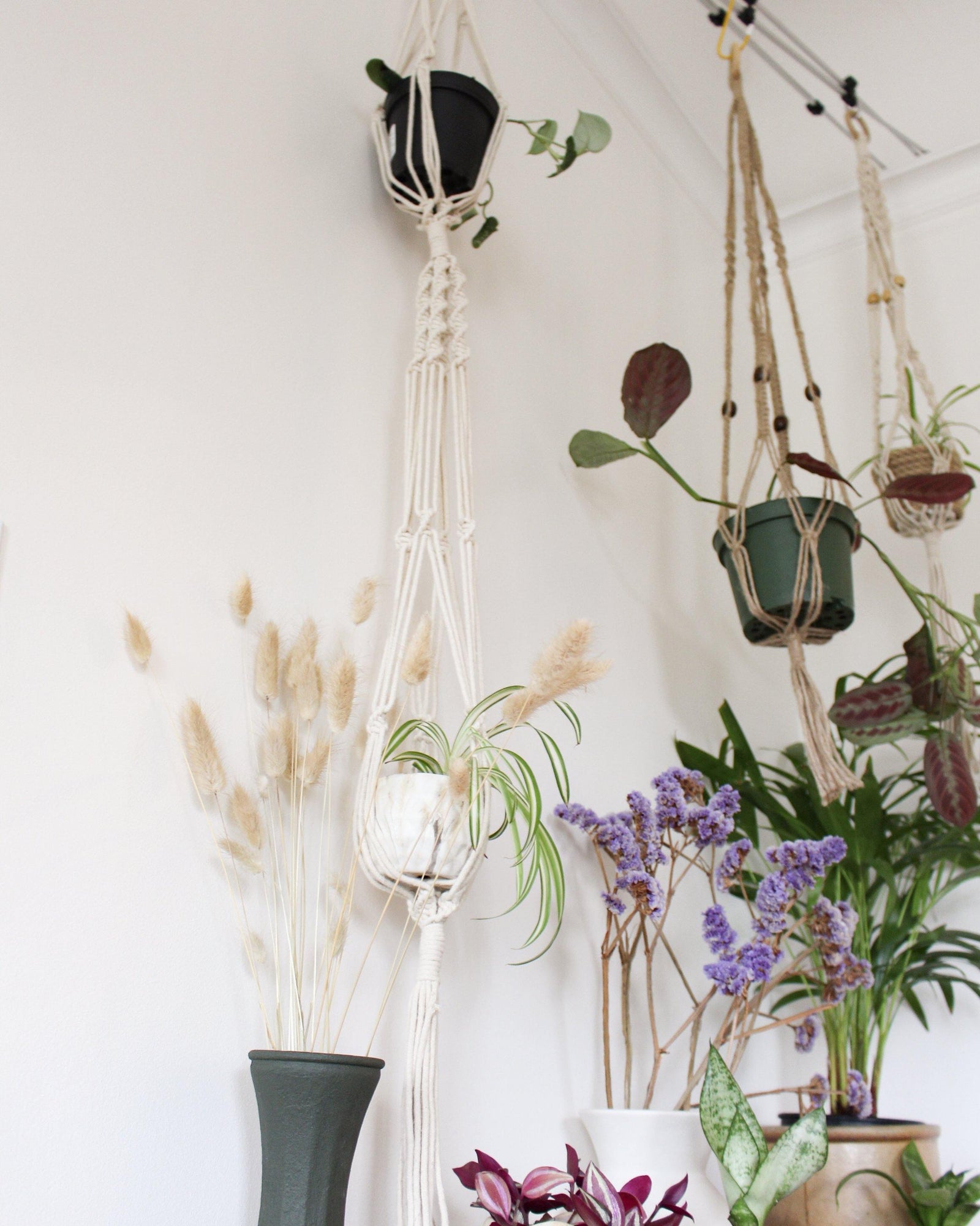 Tillandsia Macrame Plant Hanger - Double Plant Hanger - Air Plant Holder - Plant Hanger Indoor